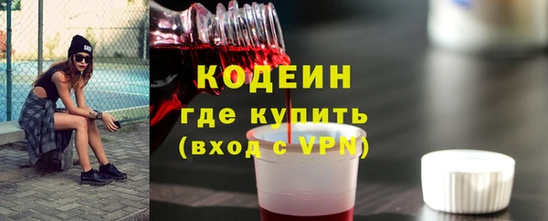 индика Балахна
