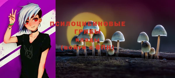 индика Балахна