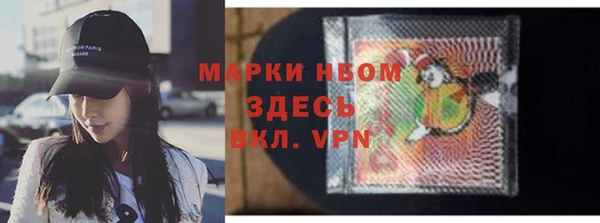индика Балахна