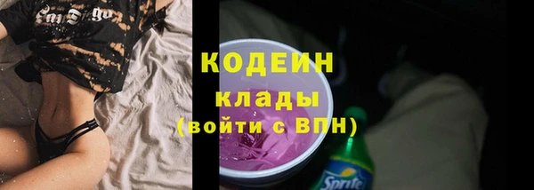 индика Балахна