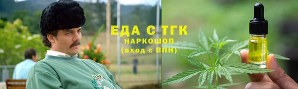 индика Балахна